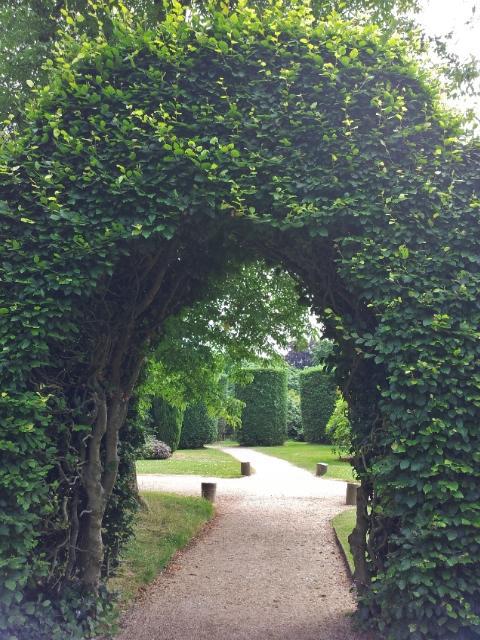 Formgeschnittene Gehölze im Nymans Garden.