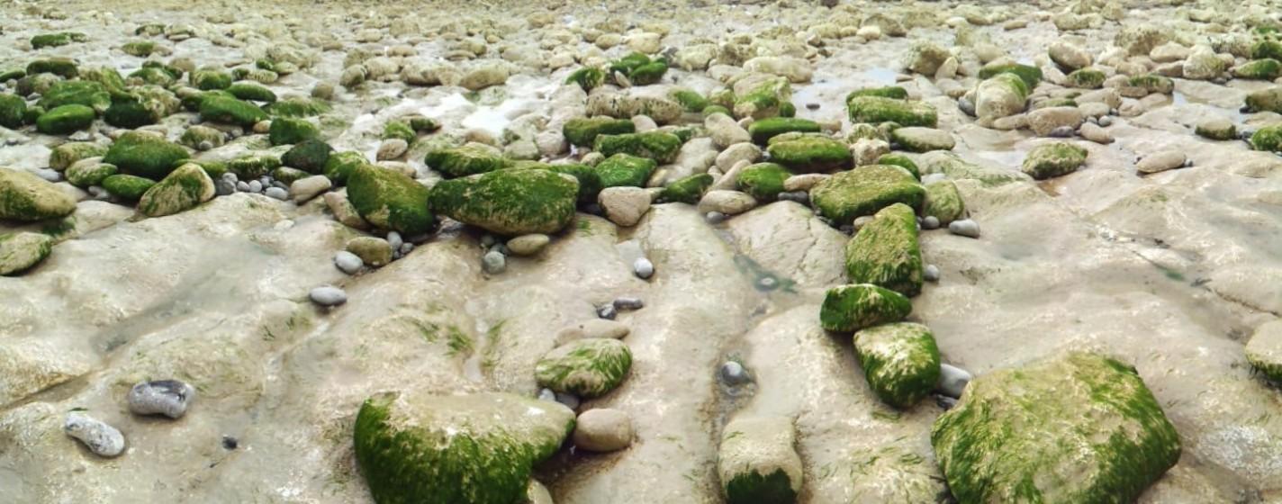 Von Kalk überzogene Steine am Meerestrand.