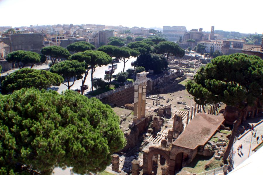 Blick auf das Forum Romanum.