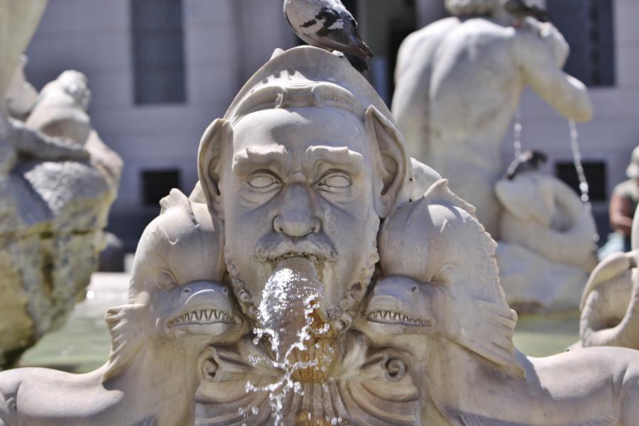 Fontana del Moro 