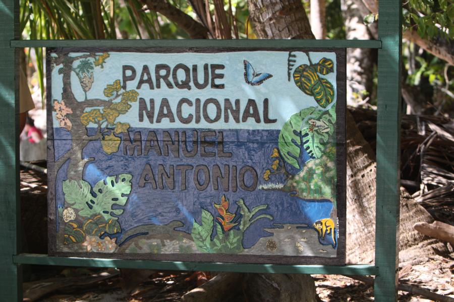 Diesen Tag, es war Sonntag, gestalteten wir auf eigene Faust. Der nördliche Teil der Playa Espadilla Norte, wo wir wohnten, ist der Öffentlichkeit zugänglich und weist vor allem am Wochenende ziemlich viel Betrieb auf. Um die Natur wenigstens ein klein wenig vor den Menschenmassen schützen zu können, wird die Besucherzahl daher am Wochenende auf 800 Personen beschränkt.
