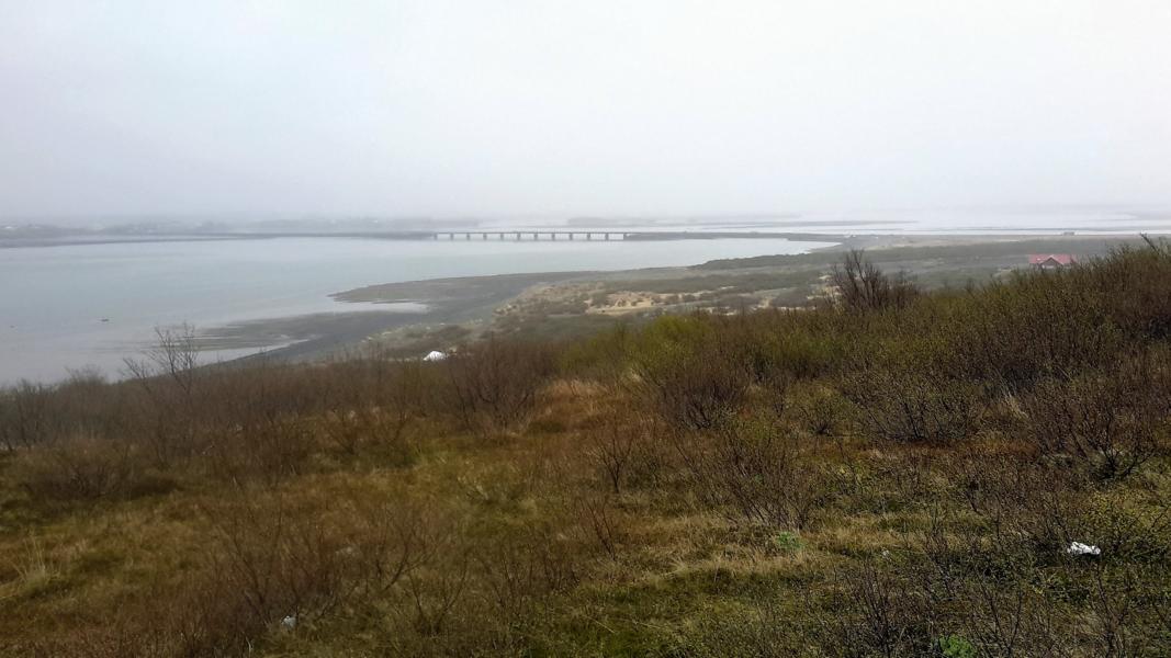 Dichter Nebel verhüllte die Landschaft.