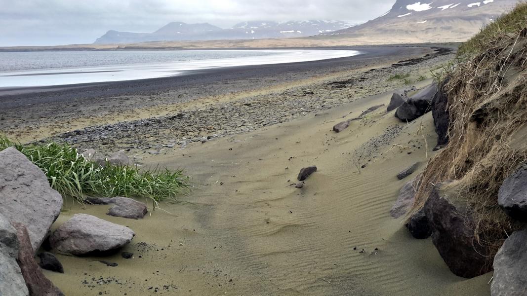 Senffarbige Strände bei Grundarfjörður