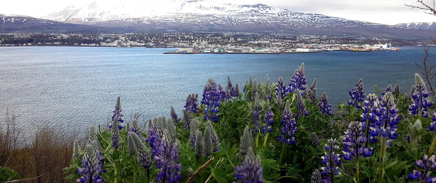 Blick auf Akureyri von der Ostseite des Fjordes