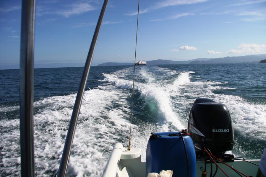 Nachdem wir im Boot unseren Platz eingenommen hatten, ging es im hohen Tempo an Felsformationen vorbei zum Tagesziel. Nach etwa einer Stunde erreichten wir die Rangerstation San Pedrillo.