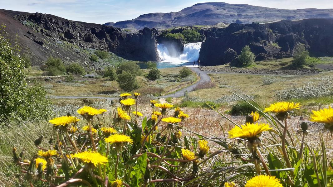 Blick auf den Hjalparfoss