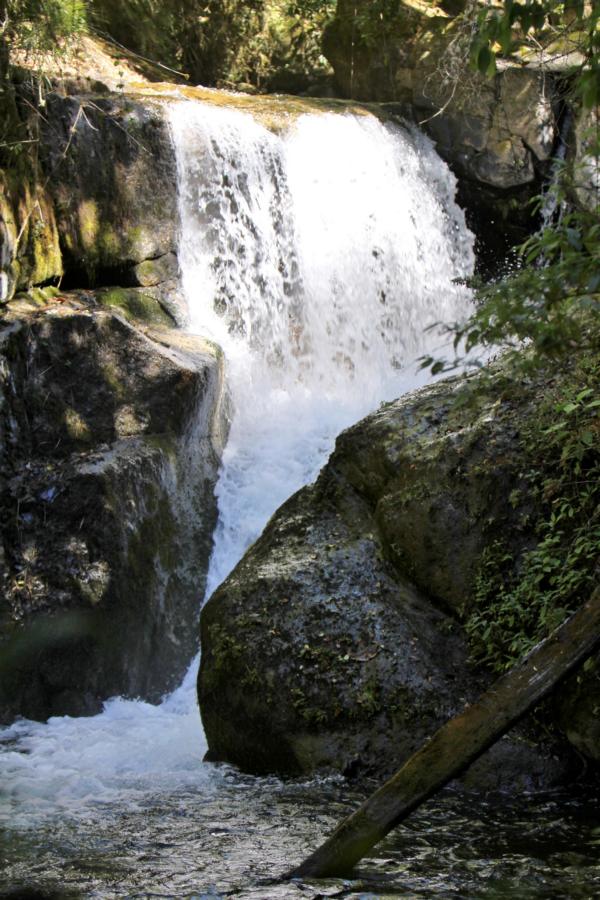 Nur wenige Kilimeter von der Trogon Lodge befindet sich dieser Wasserfall, den man per Auto gut erreicht.