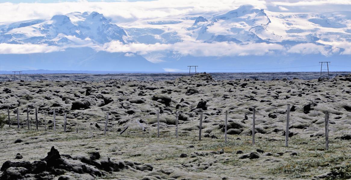 Mit Moss bedeckte Lavafelder in der Landschaft Eldhraun.