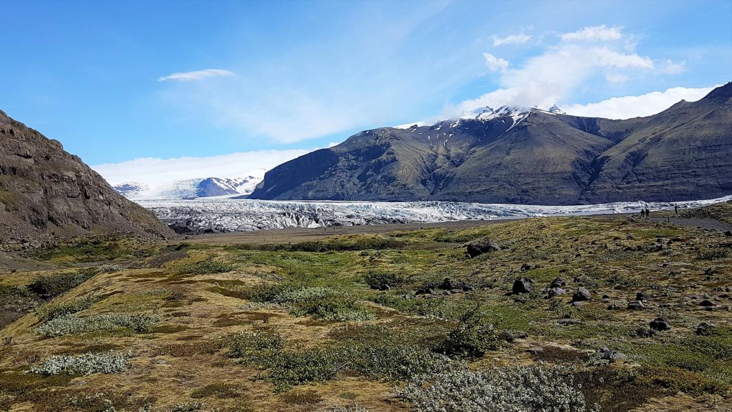 Gletscher Skaftafellsjökull 