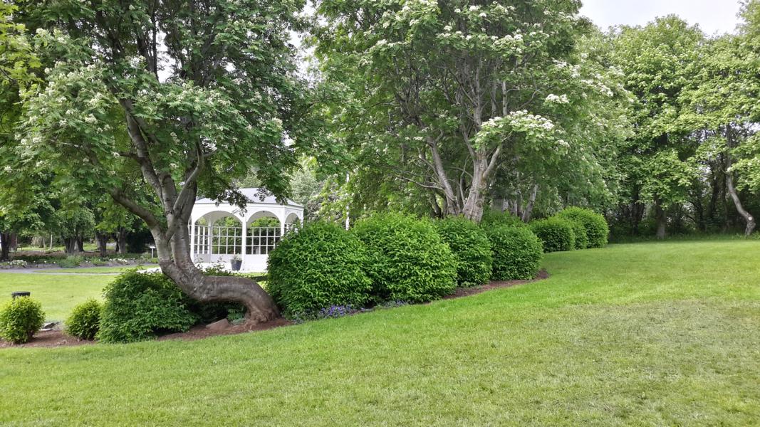 Pavilion im Bot. Garten