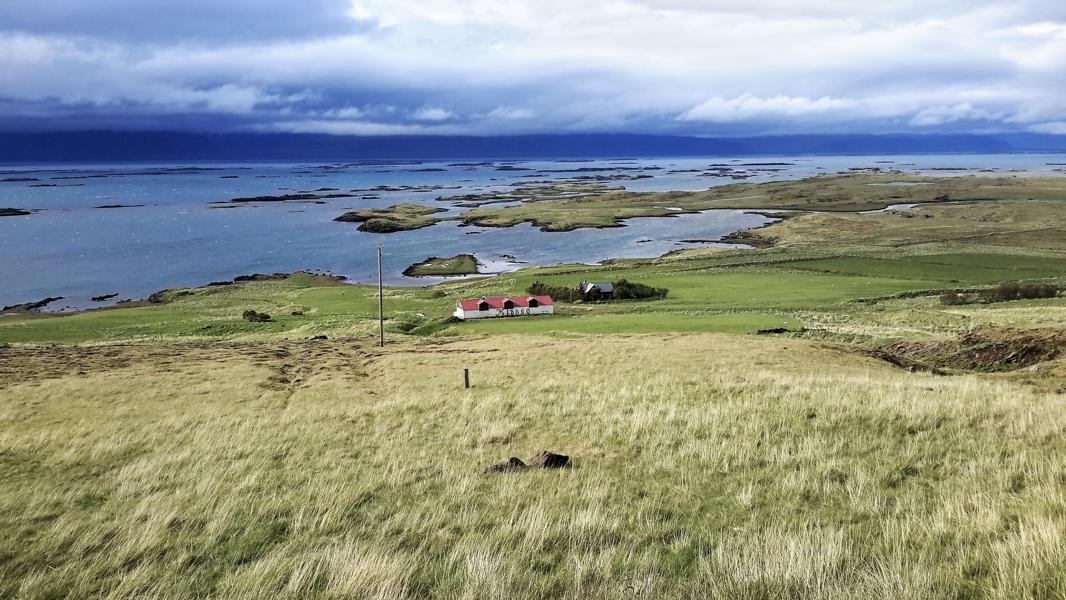 Tanggebiet im Breiðafjörður
