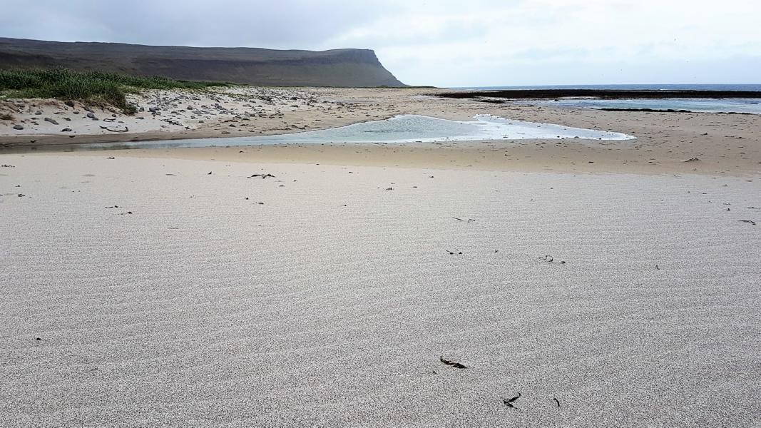 Strand bei Breidavik