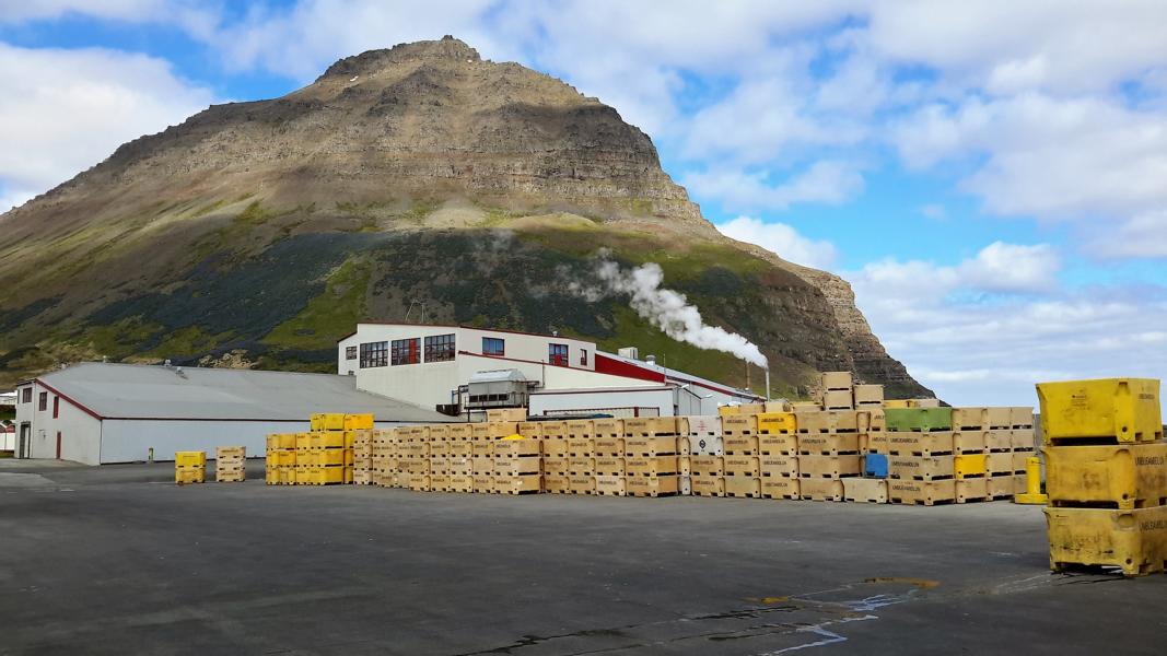 Fischverarbeitungsanlage in Bolungarvik