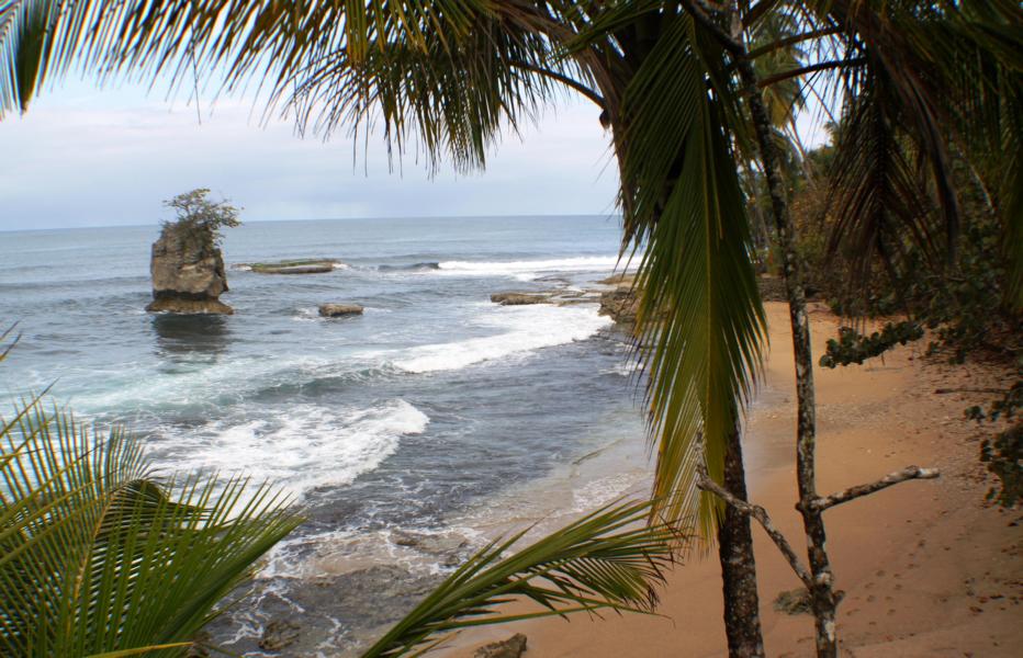 Das Naturreservat Gandoca Manzanillo ist ein Rückzugsgebiet für Schildkröten.