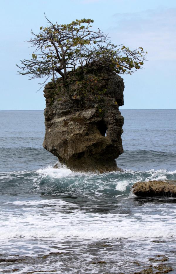 Am Strand des Naturreservats Gandoca Manzanillo sind immer noch heftig von den Meereswellen umspülte Restfelsen zu sehen.