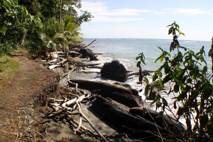 Nachdem wir den Parkplatz erreicht hatten, begannen wir die wunderschöne Wanderung durch das urwüchsige Gebiet. Dabei mussten wir direkt am Strand laufen oder den teilweise von den Wellen zerstörten Wanderweg nutzen.