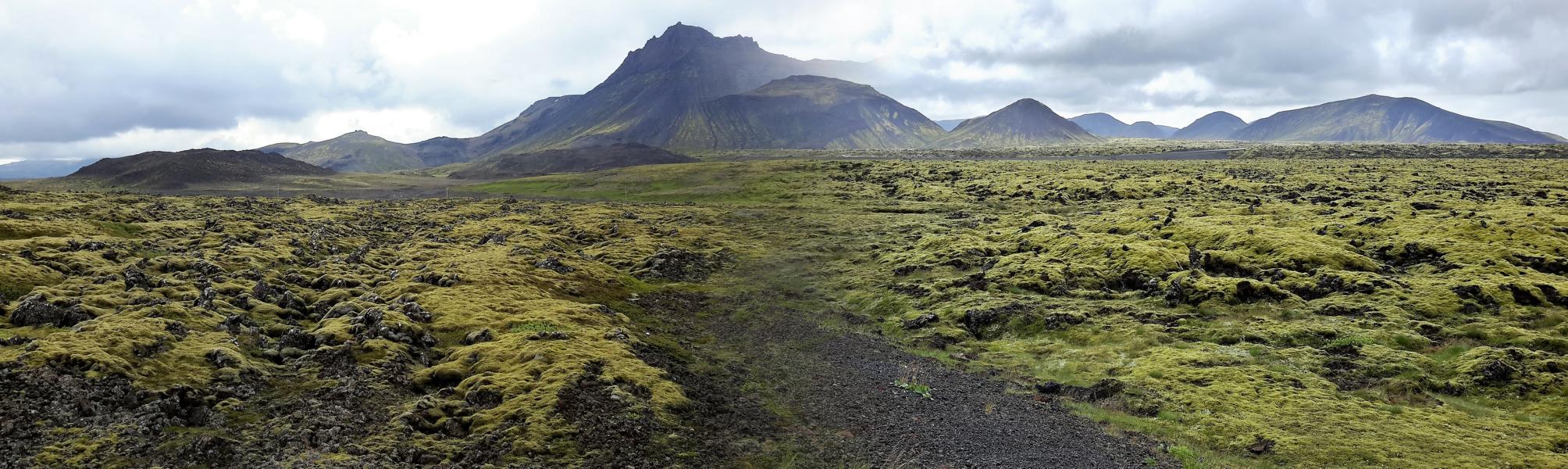 Mooslandschaft zwischen Reykjavik und Reykjanes