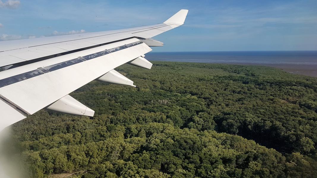 Regenwälder um Panama City