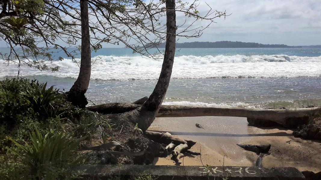 Bluff Beach