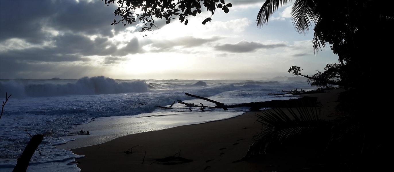 Bluff Beach im Morgengrauen