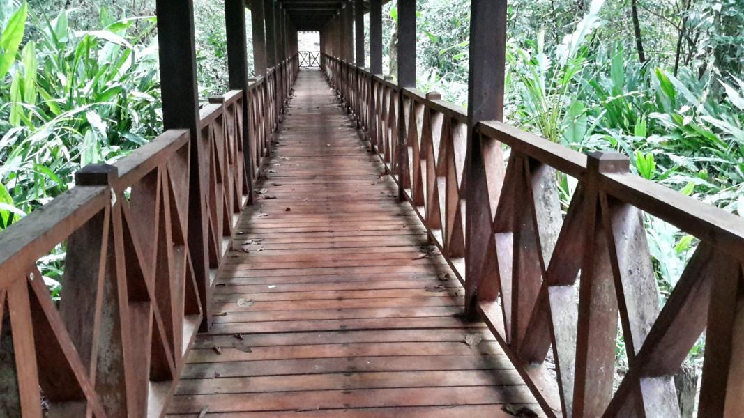 Zugang zum Manzanillo Nationalpark
