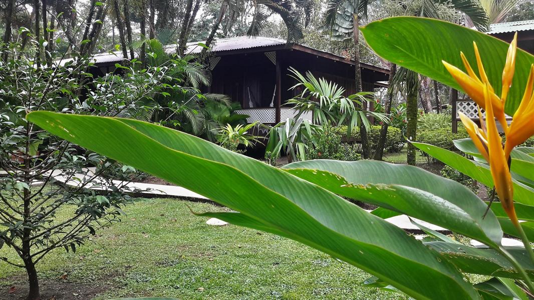 Bungalow in der Mawamba Lodge