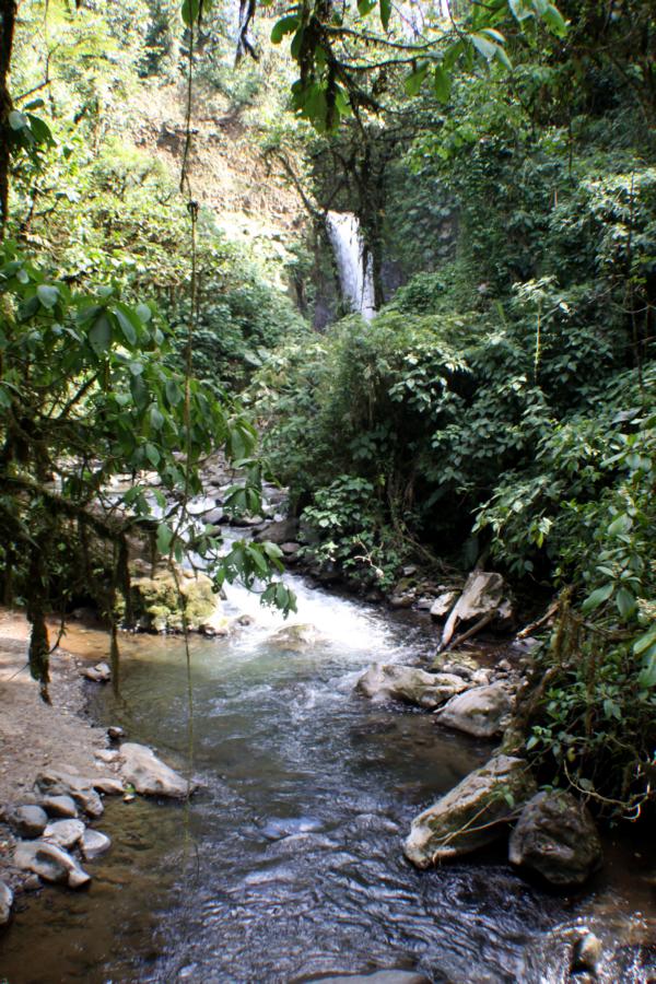 Im Gelände stürzen fünf Wasserfälle in die Tiefe, die glasklares Wasser führen. 
