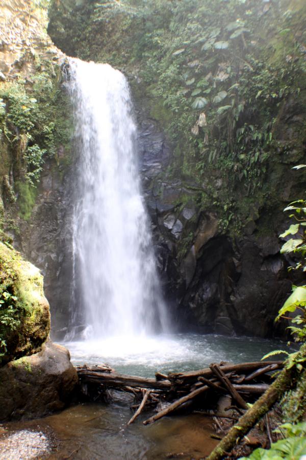 Der höchste Wasserfall im La Paz Waterfall Gardens.