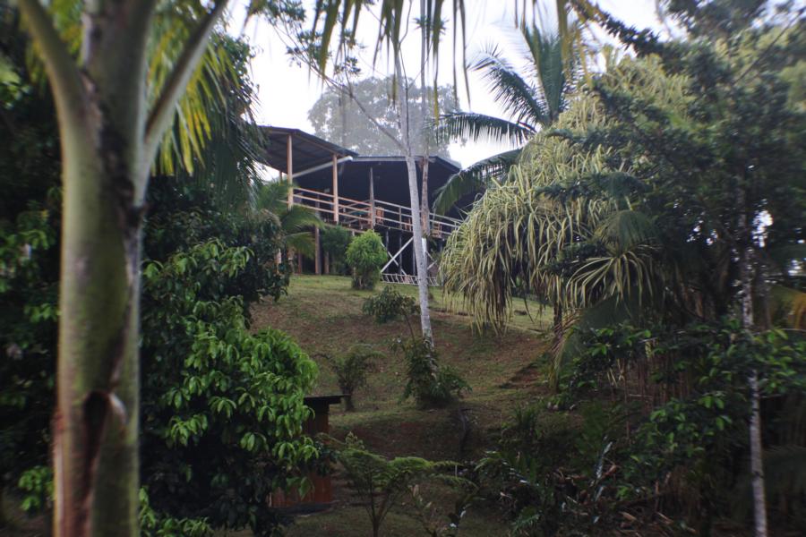 Das offene Terrassen-Restaurant ermöglicht den Blick auf die Lagune, in der Kaimane leben. Die Kanubenutzung war im Zimmerpreis enthalten.