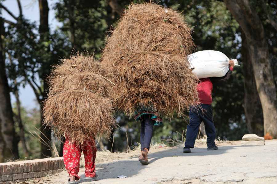 Schwere körperliche Arbeit gehört zum Alltag in Nepal.