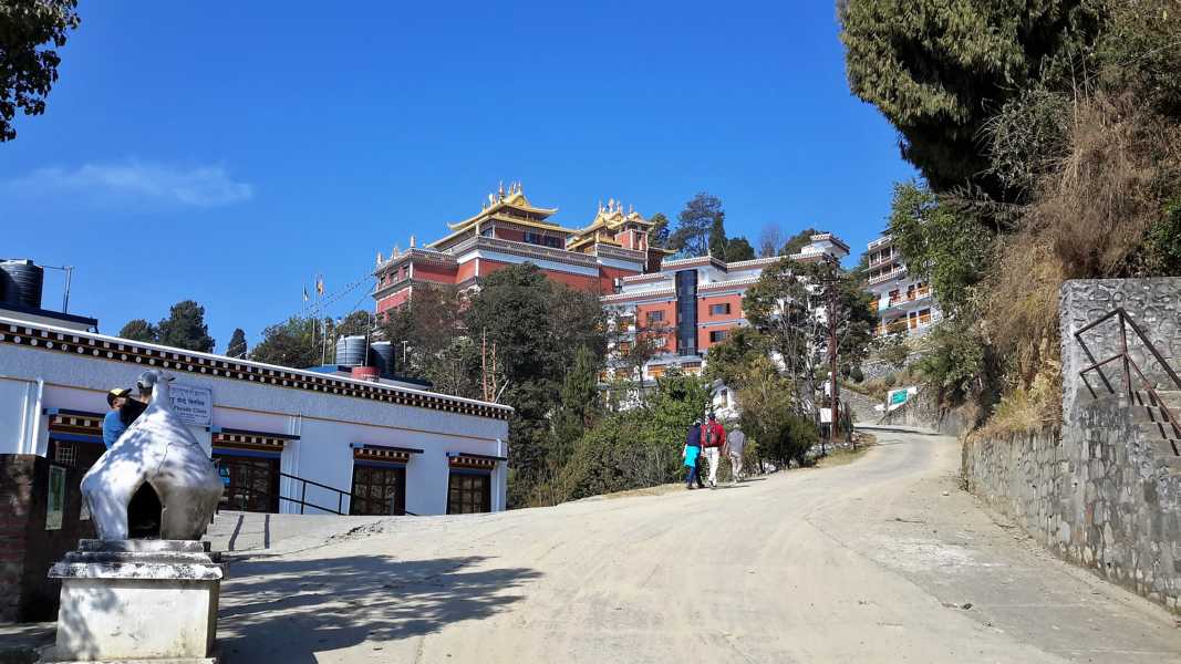 Thrangu Tashi Yangtse Monastery 