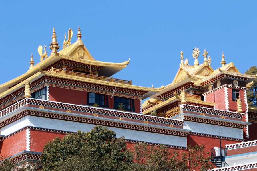Thrangu Tashi Yangtse Monastery 