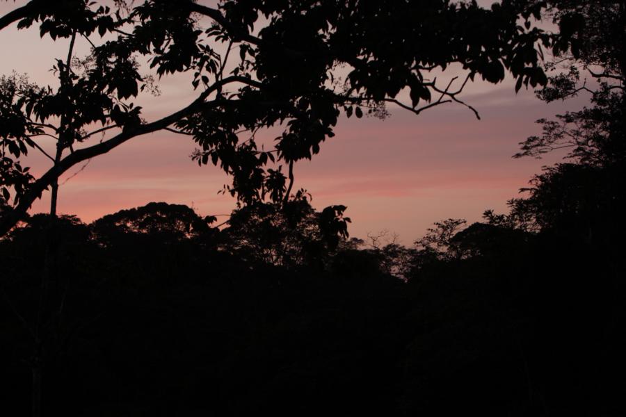 Die ergiebige Wanderung durch den Regenwald fand ihren Abschluss mit einem wunderschönen Sonnenuntergang, den wir von unserem Bungalow aus bewunderten. 